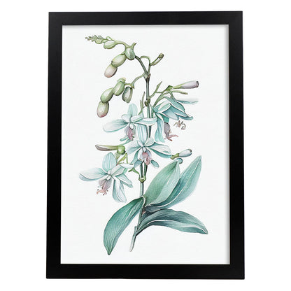 Laminas Nacnic de Orquídea Acuarela Minimalista