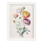 Nacnic watercolor minmal Ranunculus_1. Aesthetic Wall Art Prints for Bedroom or Living Room Design.-Artwork-Nacnic-A4-Marco Blanco-Nacnic Estudio SL