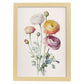 Nacnic watercolor minmal Ranunculus_1. Aesthetic Wall Art Prints for Bedroom or Living Room Design.-Artwork-Nacnic-A4-Marco Madera Clara-Nacnic Estudio SL