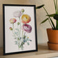 Nacnic watercolor minmal Ranunculus_1. Aesthetic Wall Art Prints for Bedroom or Living Room Design.-Artwork-Nacnic-A4-Sin Marco-Nacnic Estudio SL