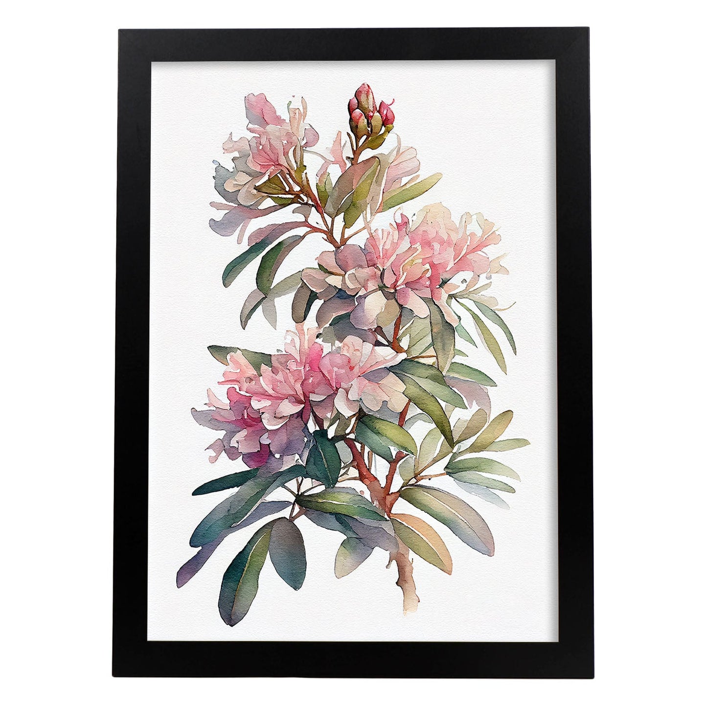 Lámina Nacnic de Rhododendron Acuarela Minimalista
