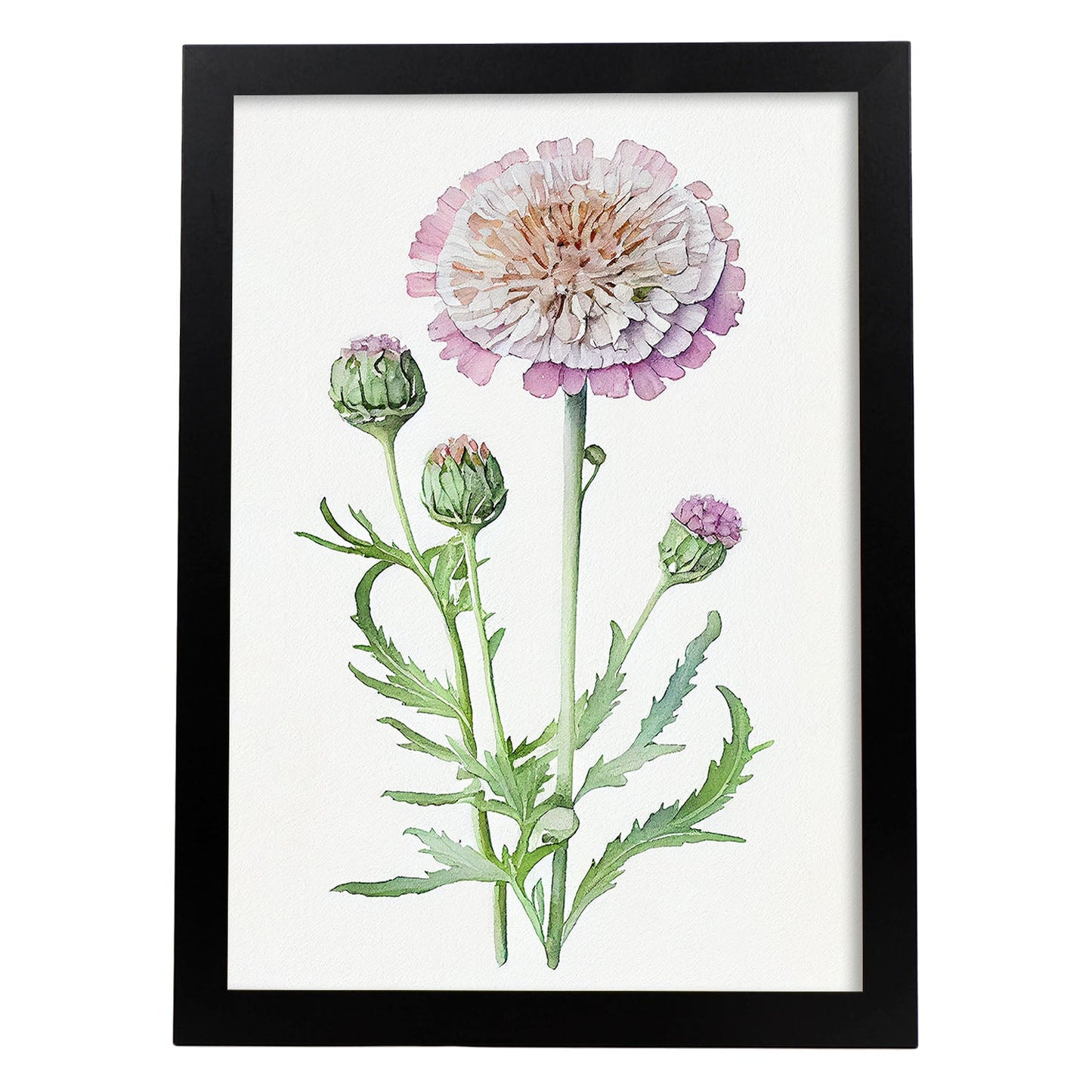 Nacnic watercolor minmal Scabiosa_4. Aesthetic Wall Art Prints for Bedroom or Living Room Design.