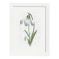 Nacnic watercolor minmal Snowdrop_1. Aesthetic Wall Art Prints for Bedroom or Living Room Design.-Artwork-Nacnic-A4-Marco Blanco-Nacnic Estudio SL