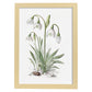 Nacnic watercolor minmal Snowdrop_2. Aesthetic Wall Art Prints for Bedroom or Living Room Design.-Artwork-Nacnic-A4-Marco Madera Clara-Nacnic Estudio SL