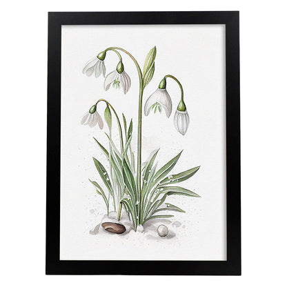 Lámina Nacnic Acuarela Minimalista de Campanilla de Invierno