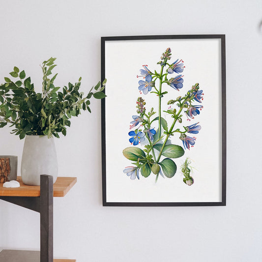 Nacnic watercolor minmal Speedwell_1. Aesthetic Wall Art Prints for Bedroom or Living Room Design.-Artwork-Nacnic-A4-Sin Marco-Nacnic Estudio SL