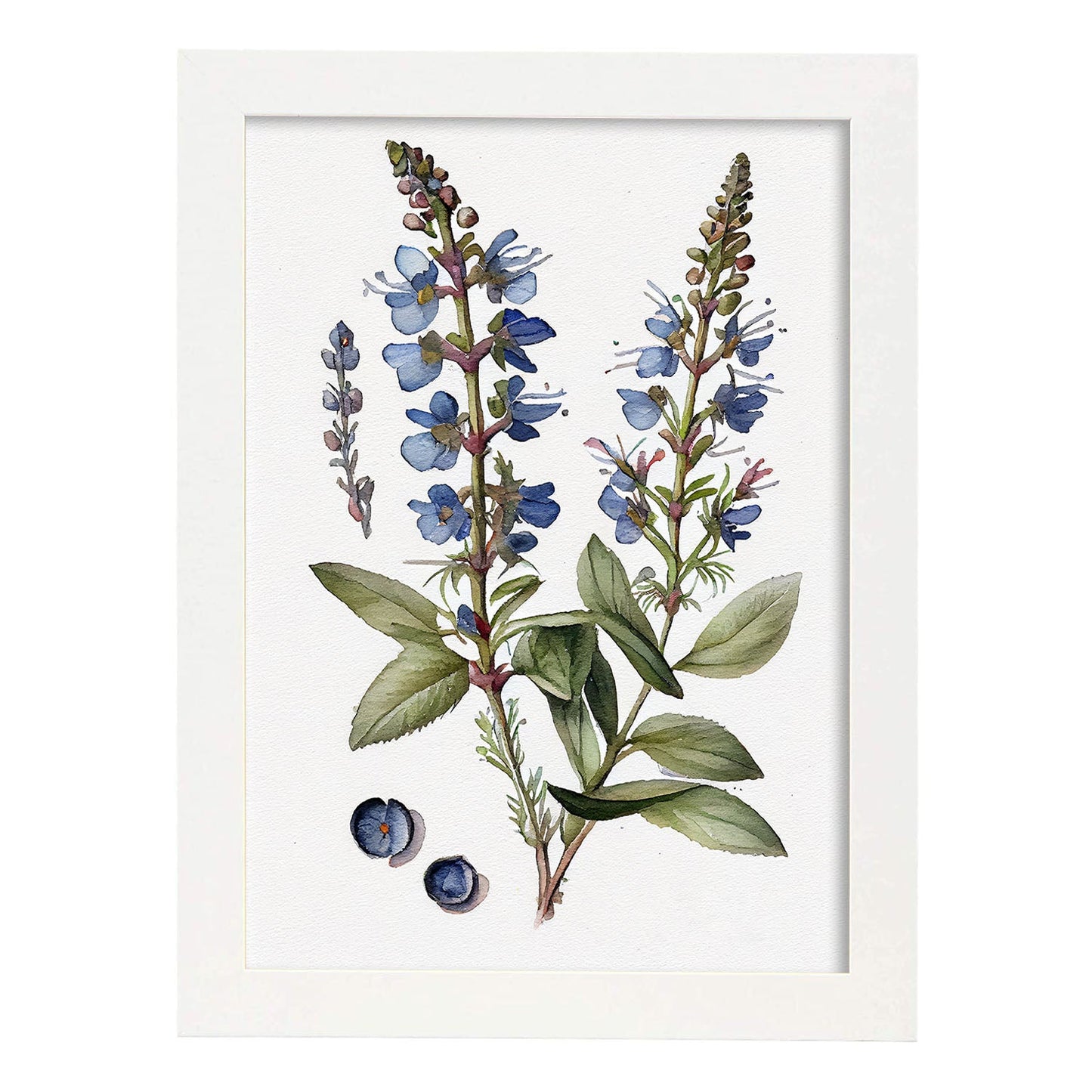 Nacnic watercolor minmal Speedwell_2. Aesthetic Wall Art Prints for Bedroom or Living Room Design.-Artwork-Nacnic-A4-Marco Blanco-Nacnic Estudio SL