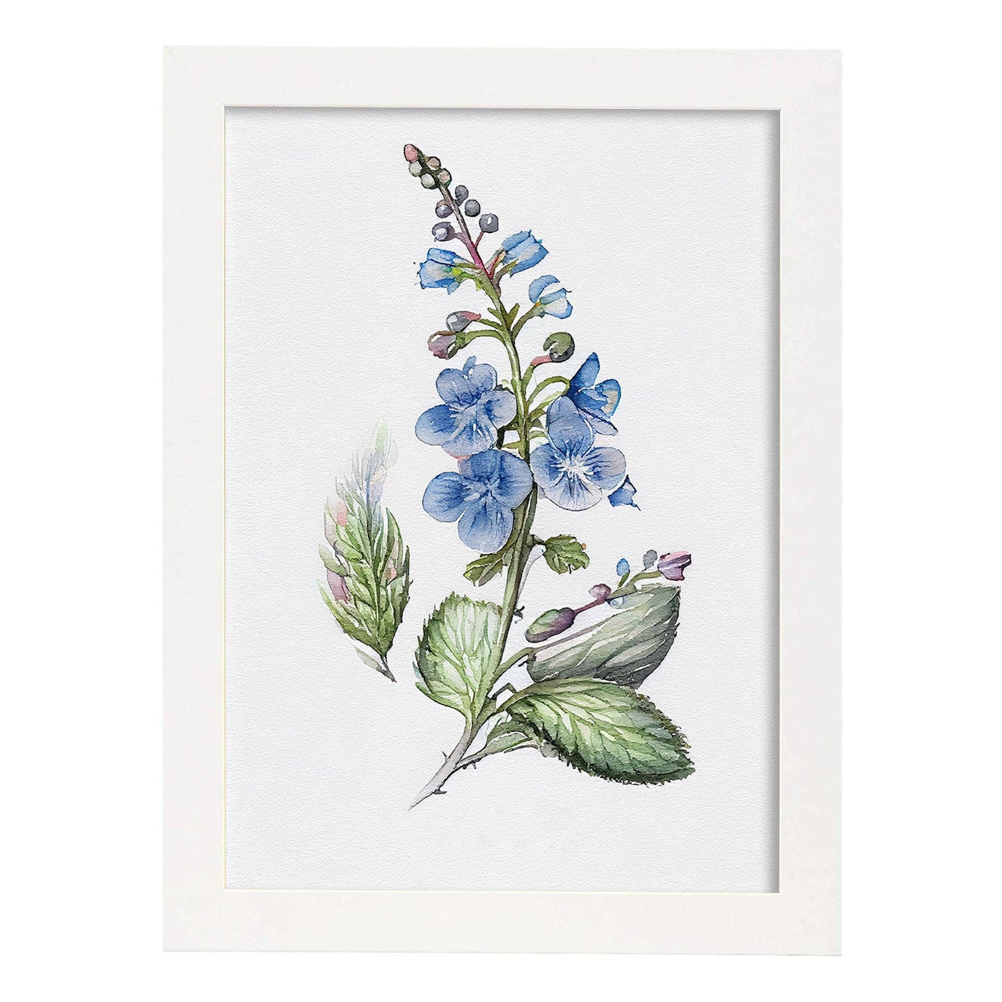 Nacnic watercolor minmal Speedwell_3. Aesthetic Wall Art Prints for Bedroom or Living Room Design.-Artwork-Nacnic-A4-Marco Blanco-Nacnic Estudio SL