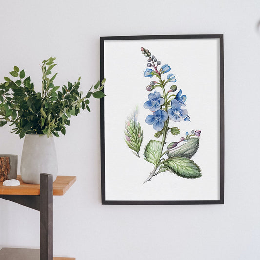 Nacnic watercolor minmal Speedwell_3. Aesthetic Wall Art Prints for Bedroom or Living Room Design.-Artwork-Nacnic-A4-Sin Marco-Nacnic Estudio SL