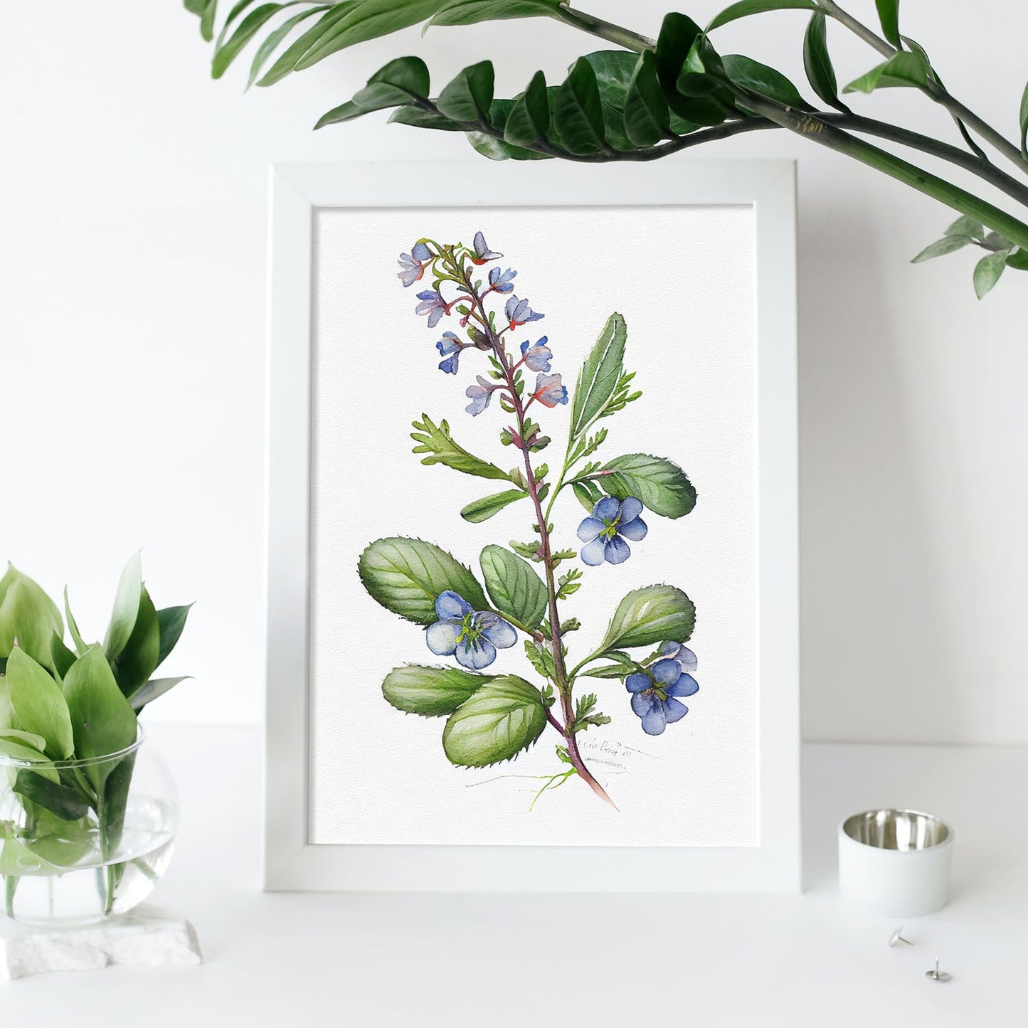 Nacnic watercolor minmal Speedwell_4. Aesthetic Wall Art Prints for Bedroom or Living Room Design.