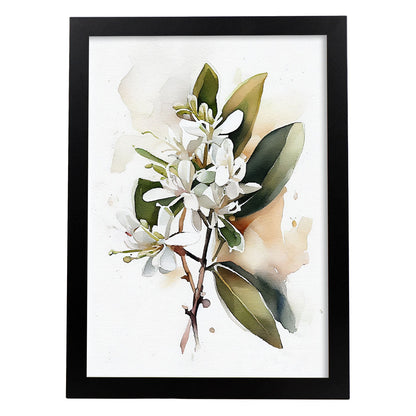 Láminas Nacnic de Stephanotis en acuarela minimalista