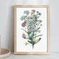 Lámina Nacnic de Acuarela Minimalista Sweet Alyssum