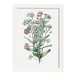 Nacnic watercolor minmal Sweet Alyssum. Aesthetic Wall Art Prints for Bedroom or Living Room Design.-Artwork-Nacnic-A4-Marco Blanco-Nacnic Estudio SL