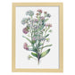 Nacnic watercolor minmal Sweet Alyssum. Aesthetic Wall Art Prints for Bedroom or Living Room Design.-Artwork-Nacnic-A4-Marco Madera Clara-Nacnic Estudio SL