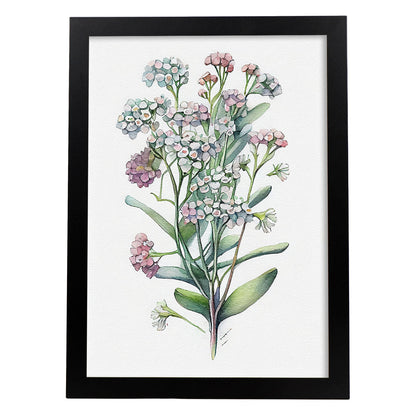 Lámina Nacnic de Acuarela Minimalista Sweet Alyssum