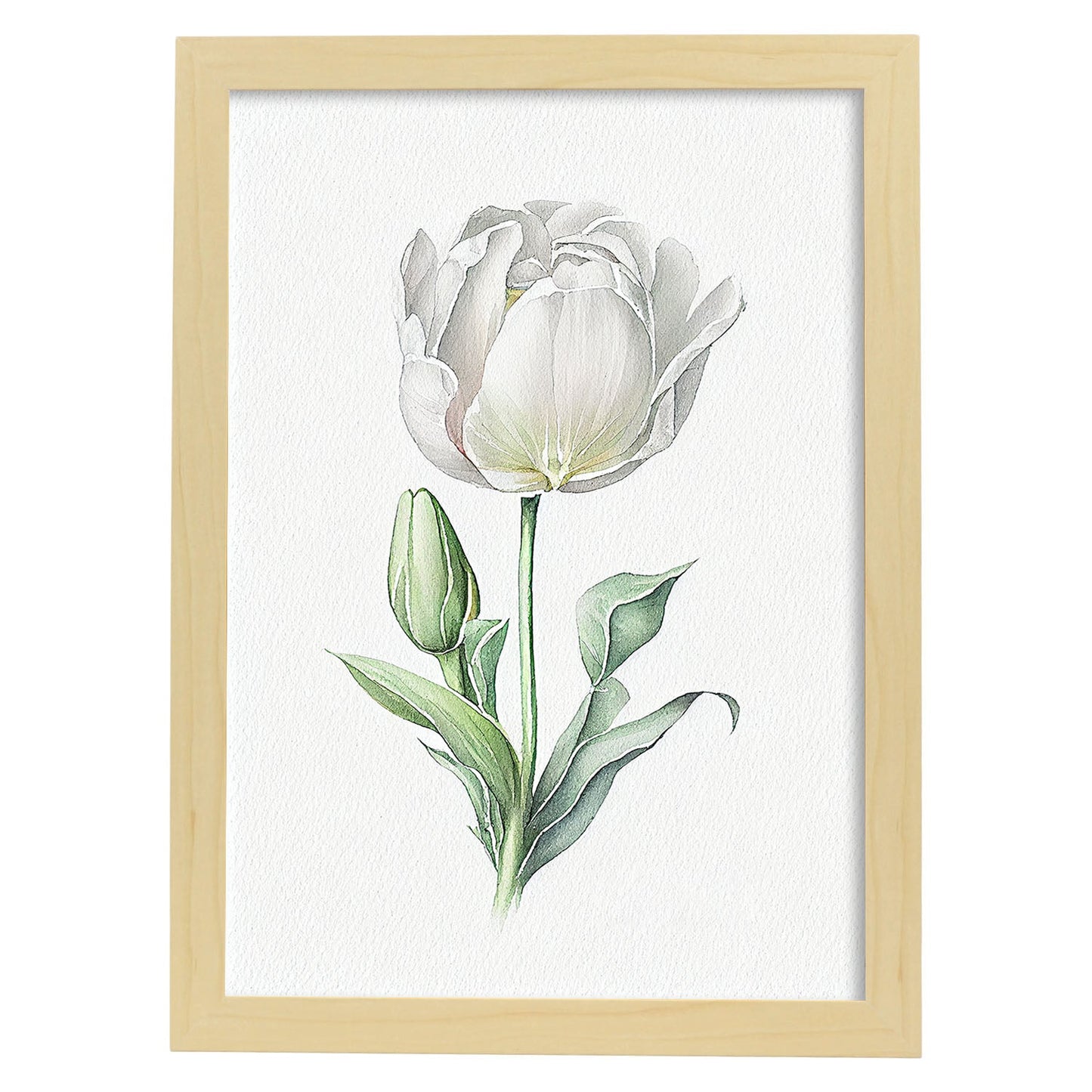 Nacnic watercolor minmal Tulipa_1. Aesthetic Wall Art Prints for Bedroom or Living Room Design.