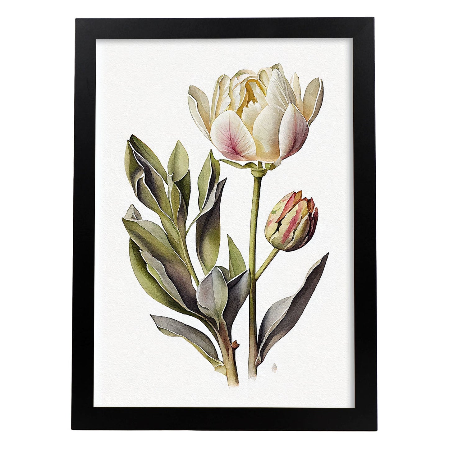 Nacnic Laminas de Tulipa_3 Acuarela Minimalista