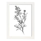 Lámina Minimalista Nacnic Waxflower Arte Lineal Aestético