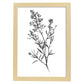 Lámina Minimalista Nacnic Waxflower Arte Lineal Aestético