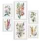 Nacnic Laminas de Flores Silvestres