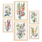 Nacnic Laminas de Flores Silvestres