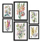 Nacnic Laminas de Flores Silvestres