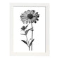 Lámina Nacnic Zinnia Arte Minimalista Lineal