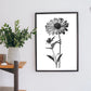 Lámina Nacnic Zinnia Arte Minimalista Lineal