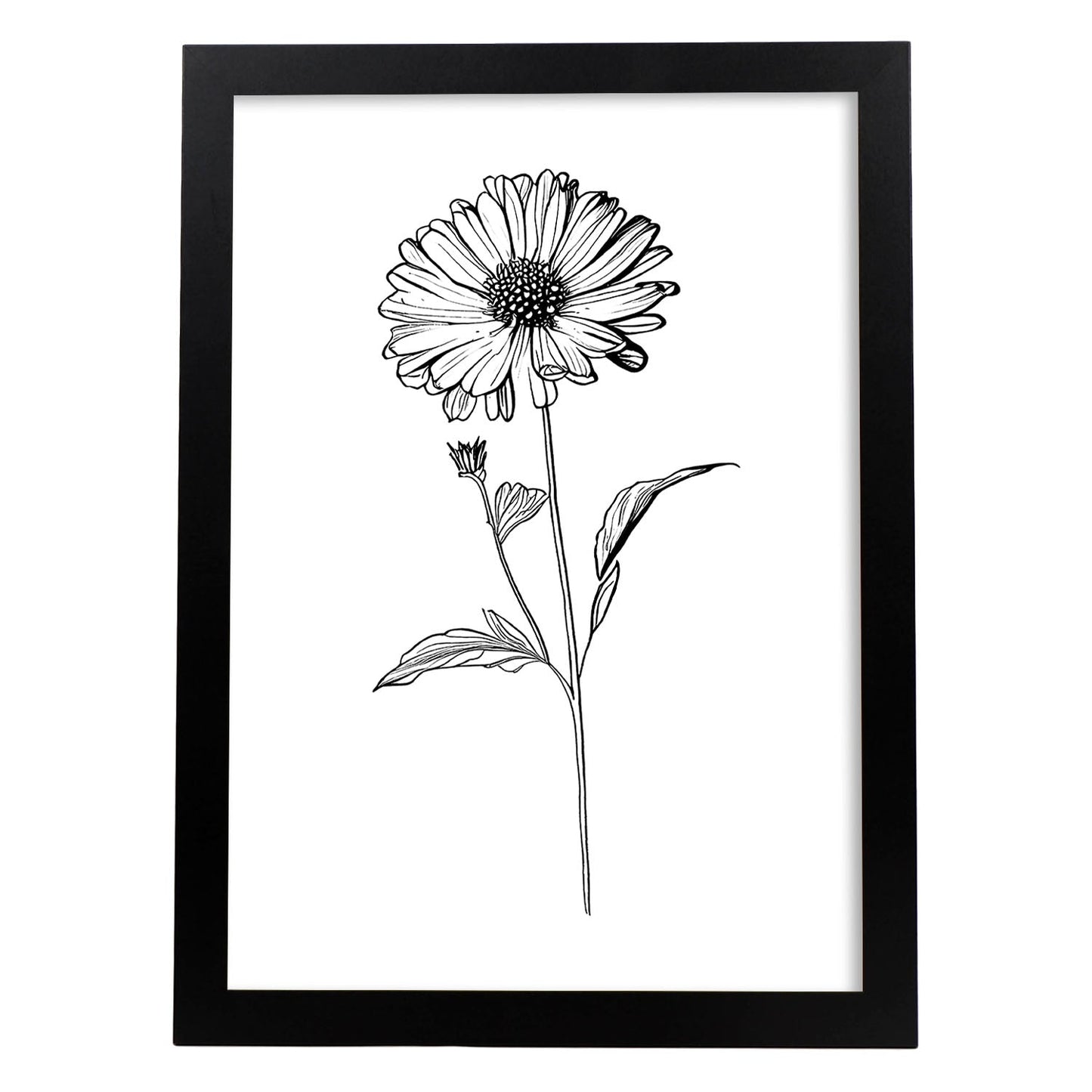 Nacnic Zinnia Minimalist Line Art_2. Aesthetic Wall Art Prints for Bedroom or Living Room Design.
