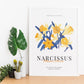 Narcissus Blossom Flower-Artwork-Nacnic-Nacnic Estudio SL