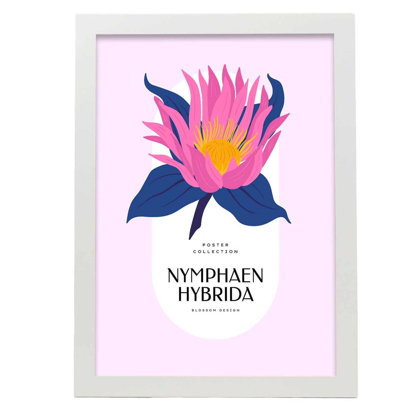 Nymphaen Hybrida-Artwork-Nacnic-A3-Marco Blanco-Nacnic Estudio SL