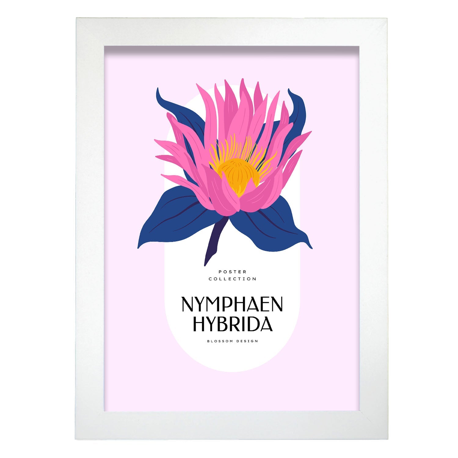 Nymphaen Hybrida-Artwork-Nacnic-A4-Marco Blanco-Nacnic Estudio SL