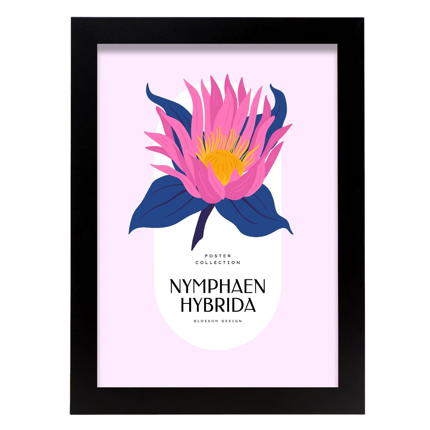 Nymphaen Hybrida-Artwork-Nacnic-A4-Sin marco-Nacnic Estudio SL