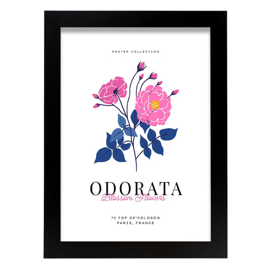 Odorata-Artwork-Nacnic-A4-Sin marco-Nacnic Estudio SL