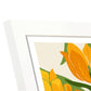 Orange Tulip-Artwork-Nacnic-Nacnic Estudio SL
