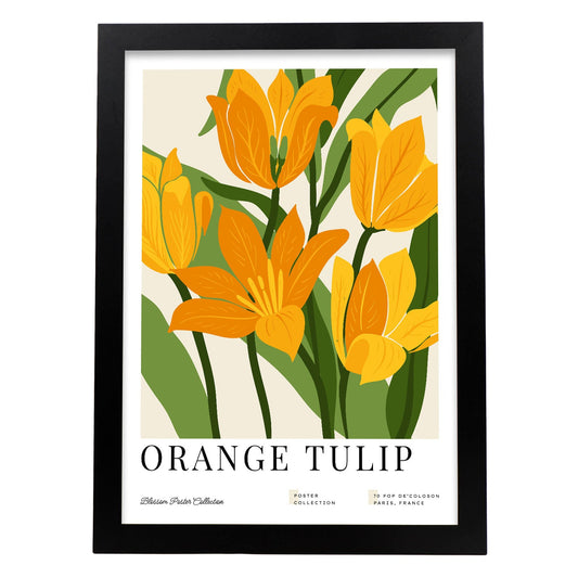 Orange Tulip-Artwork-Nacnic-A3-Sin marco-Nacnic Estudio SL