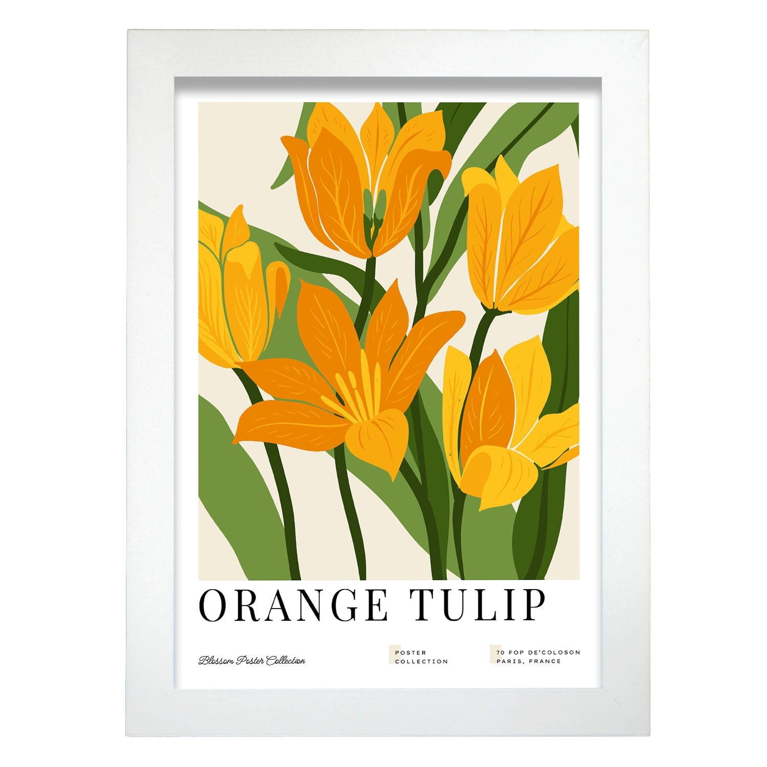 Orange Tulip-Artwork-Nacnic-A4-Marco Blanco-Nacnic Estudio SL