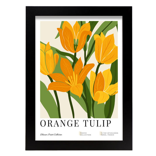 Orange Tulip-Artwork-Nacnic-A4-Sin marco-Nacnic Estudio SL