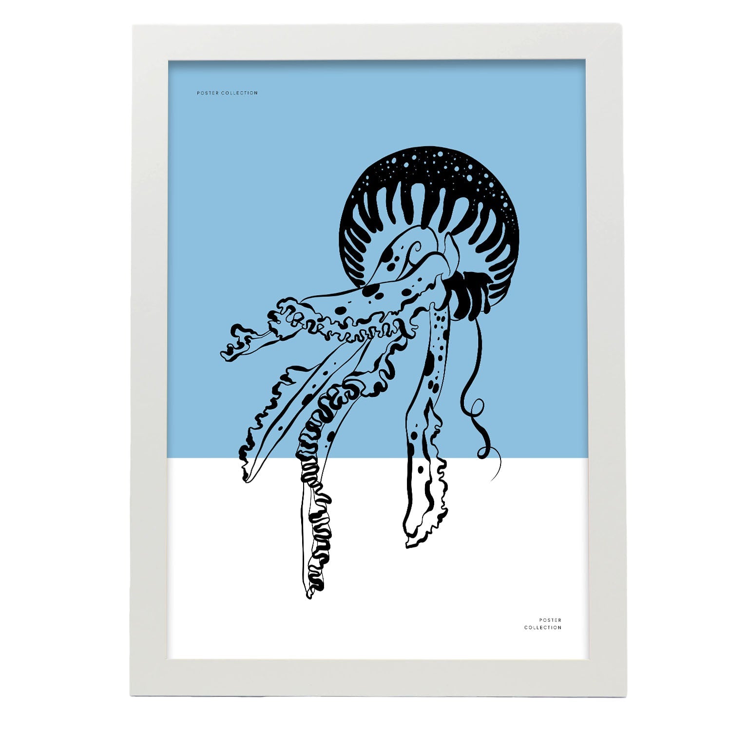 Pacific Sea Nettle Jellyfish-Artwork-Nacnic-A3-Marco Blanco-Nacnic Estudio SL