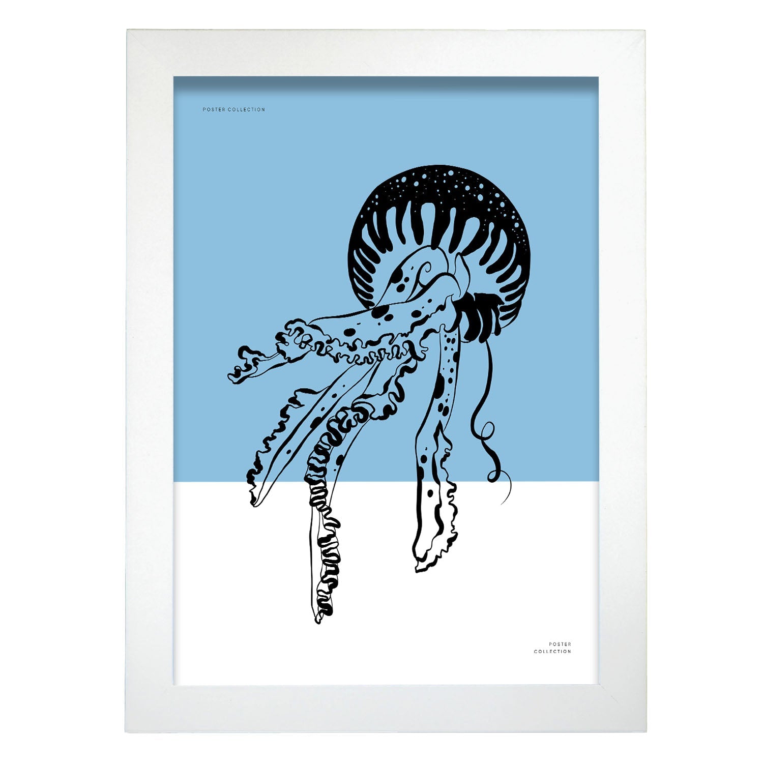 Pacific Sea Nettle Jellyfish-Artwork-Nacnic-A4-Marco Blanco-Nacnic Estudio SL