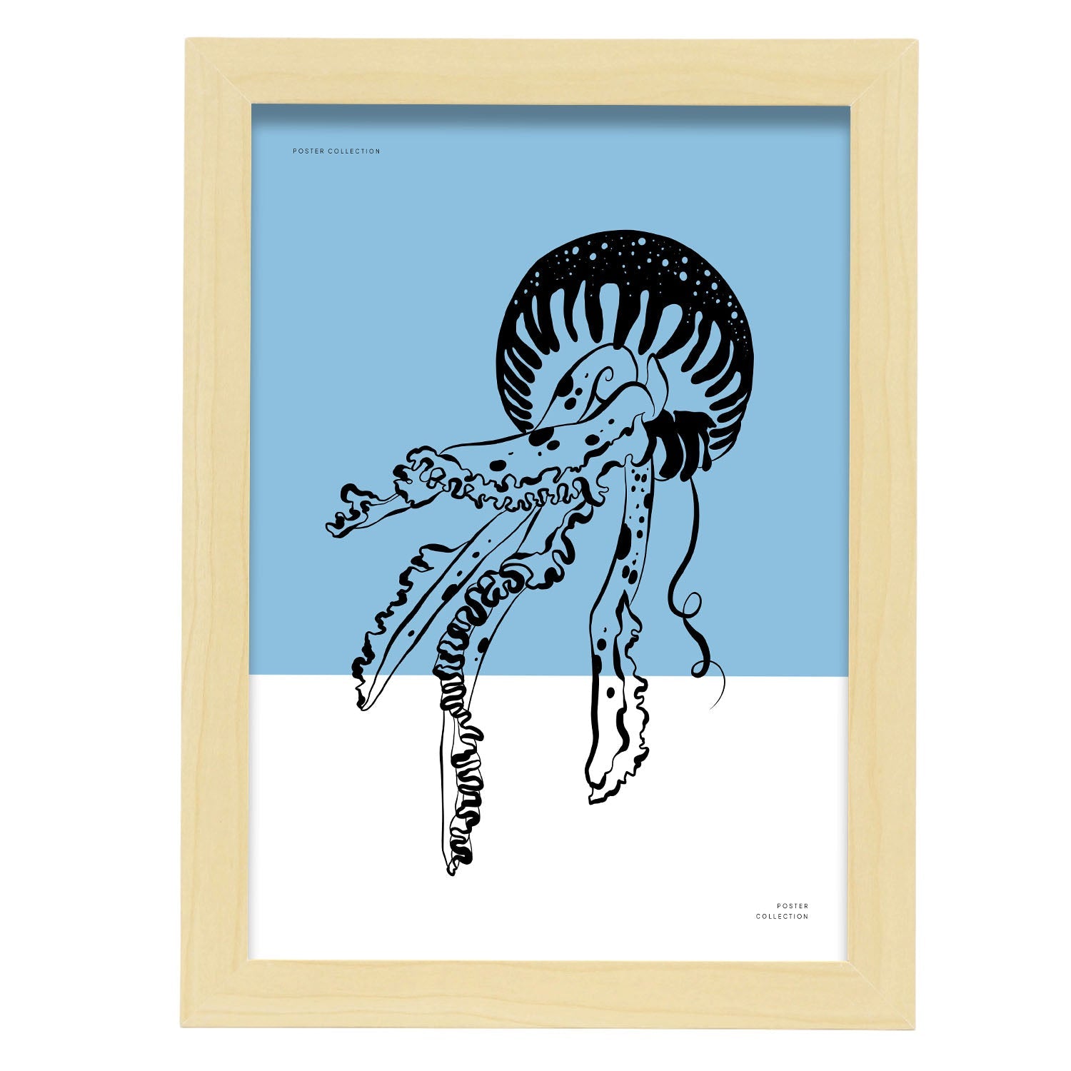 Pacific Sea Nettle Jellyfish-Artwork-Nacnic-A4-Marco Madera clara-Nacnic Estudio SL