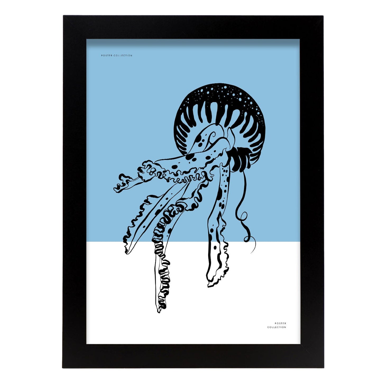 Pacific Sea Nettle Jellyfish-Artwork-Nacnic-A4-Sin marco-Nacnic Estudio SL