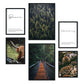 - Pack 6 Láminas Artísticas Otoño en USA - Pósters Decorativos Estilo Moderno - Láminas Fotografía Bosque, Naturaleza - A3 y A4.-Artwork-Nacnic-Marco Negro-Nacnic Estudio SL