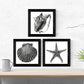 Pack de 3 láminas de Animales Marinos EN Blanco Y Negro.-Artwork-Nacnic-Nacnic Estudio SL