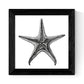 Pack de 3 láminas de Animales Marinos EN Blanco Y Negro.-Artwork-Nacnic-Nacnic Estudio SL