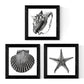 Pack de 3 láminas de Animales Marinos EN Blanco Y Negro.-Artwork-Nacnic-Nacnic Estudio SL