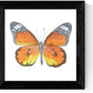 Pack de 4 láminas de Mariposas.-Artwork-Nacnic-Nacnic Estudio SL
