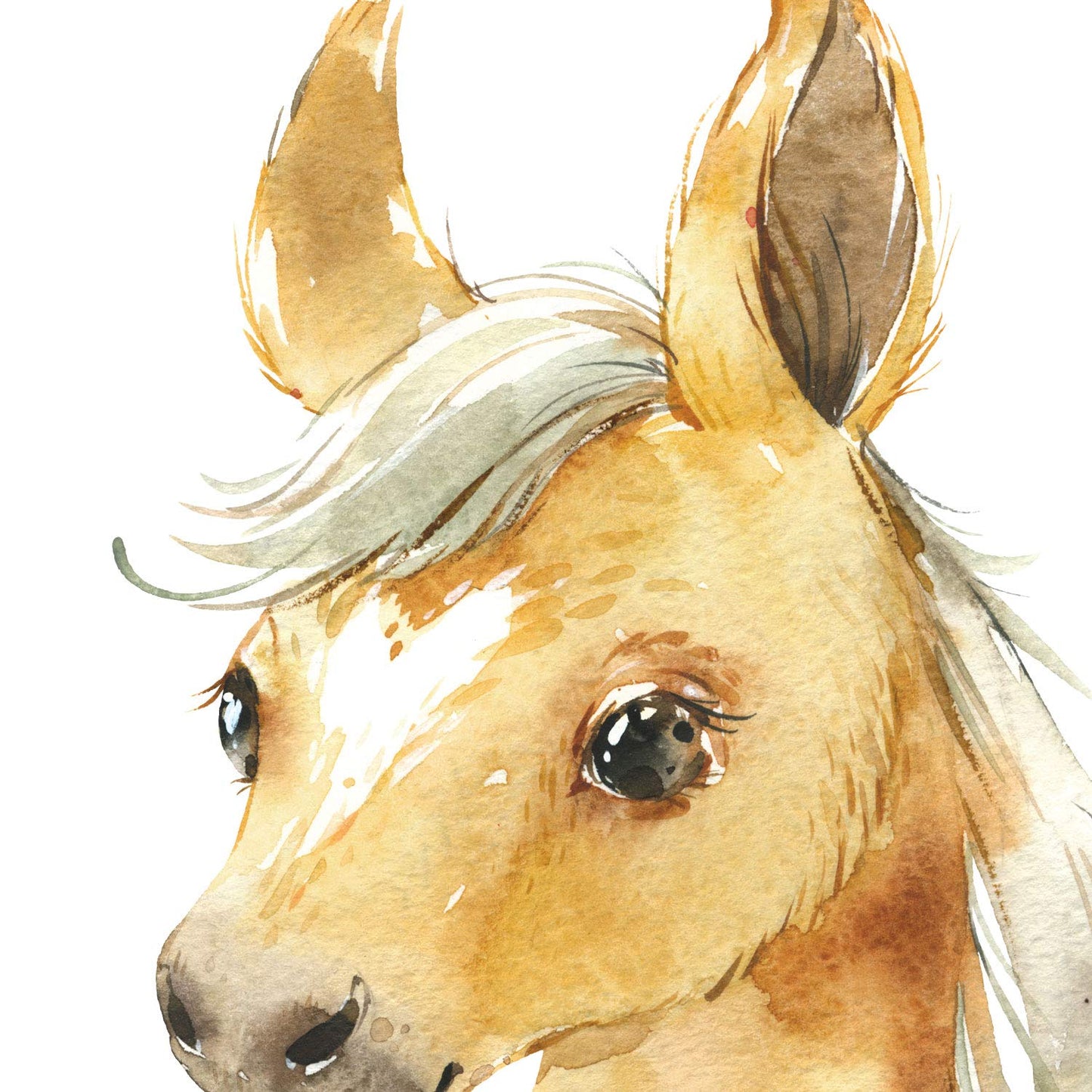 Pack de cuatro láminas con ilustraciones de animales. Caballo burro vaca y conejo.-Artwork-Nacnic-Nacnic Estudio SL