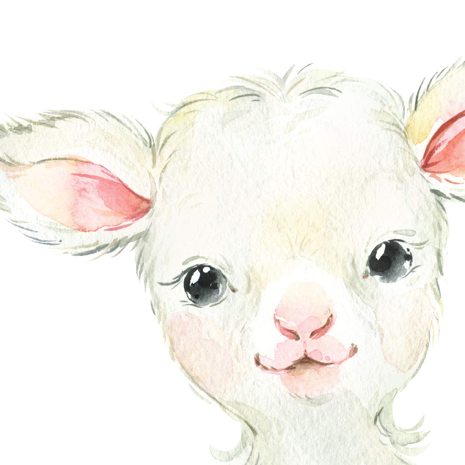 Pack de cuatro láminas con ilustraciones de animales. Cabra erizo cerdo burro.-Artwork-Nacnic-Nacnic Estudio SL