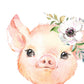 Pack de Cuatro láminas con Ilustraciones de Animales. Cerdo Mapache Cabra y Mofeta.-Artwork-Nacnic-Nacnic Estudio SL